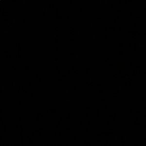 Meet your Posher, Shakisha